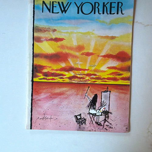 The new yorker magazine issue - magazine,